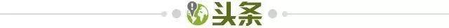 STAR SPORTS下载-【早报】京多安再离队
